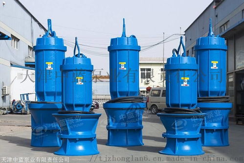 潜水贯流泵 河道灌溉斜坡专用设计与卧式全贯流泵的应用