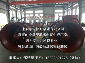 探索流体世界的隐秘力量 潜水贯流泵、全贯流闸门泵、灯泡泵与卧式全贯流泵技术解析