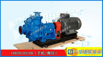 100zjg i b42渣浆泵尾矿泵洗煤厂渣浆泵厂家