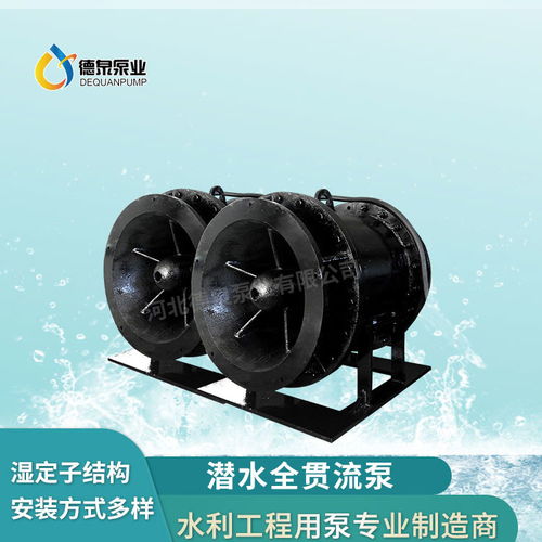 广东导轨耦合安装qgwz湿定子贯流泵
